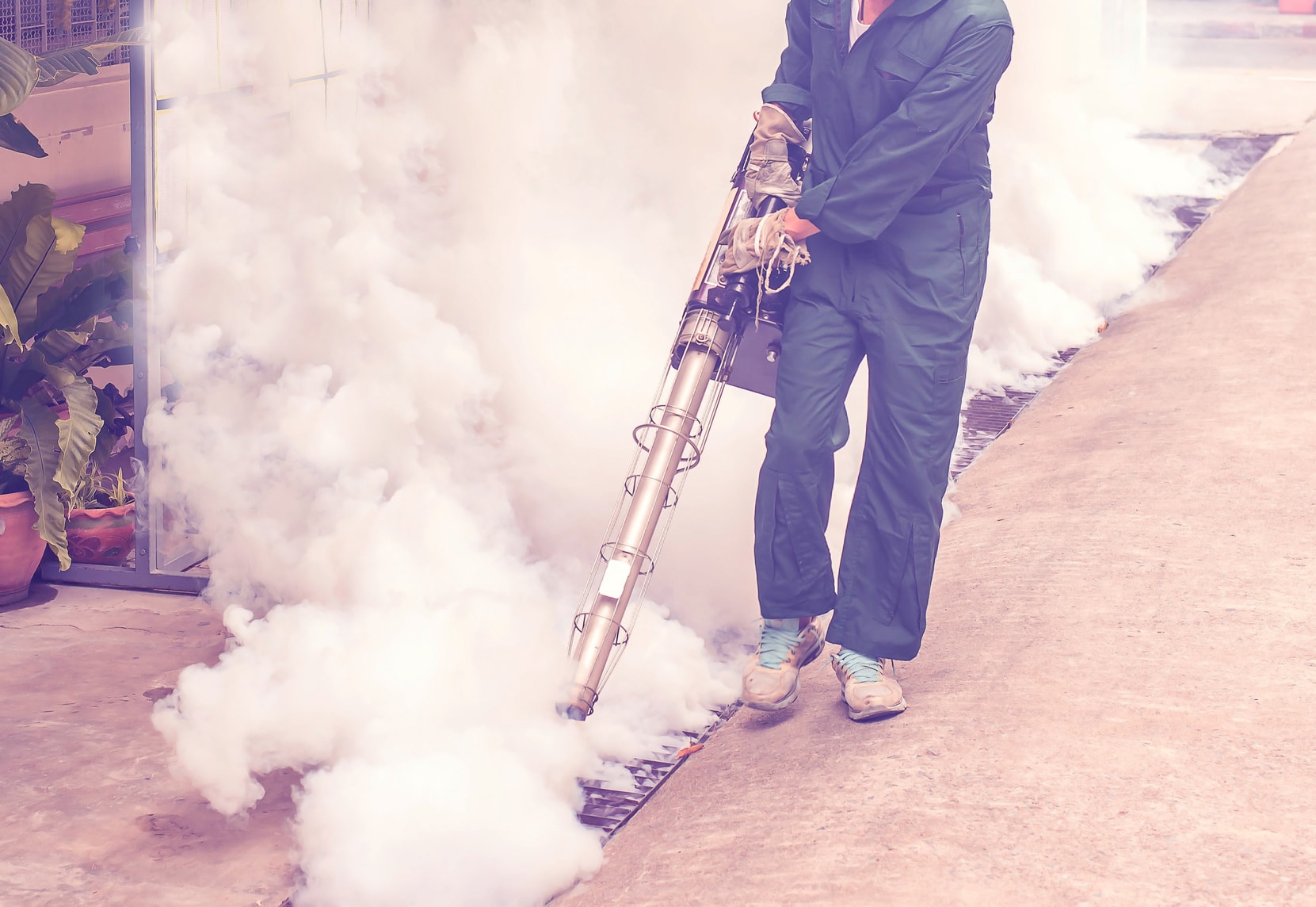 DERATIS.pl | Zwalczanie szkodników, Fumigacja, Ozonowanie