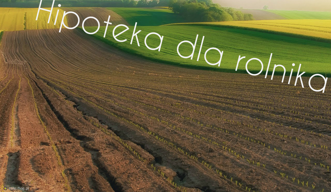 Pożyczki  hipoteczne pod  Grunty Rolne bez bik