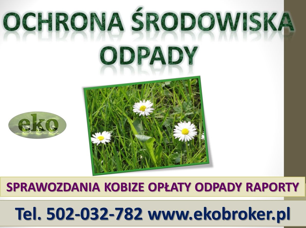 Sprawozdanie z odpadów do BDO, cena, tel. 504-746-203, raport, zestawienie. Obsługa firmy w BDO. Baza Danych o odpadach,