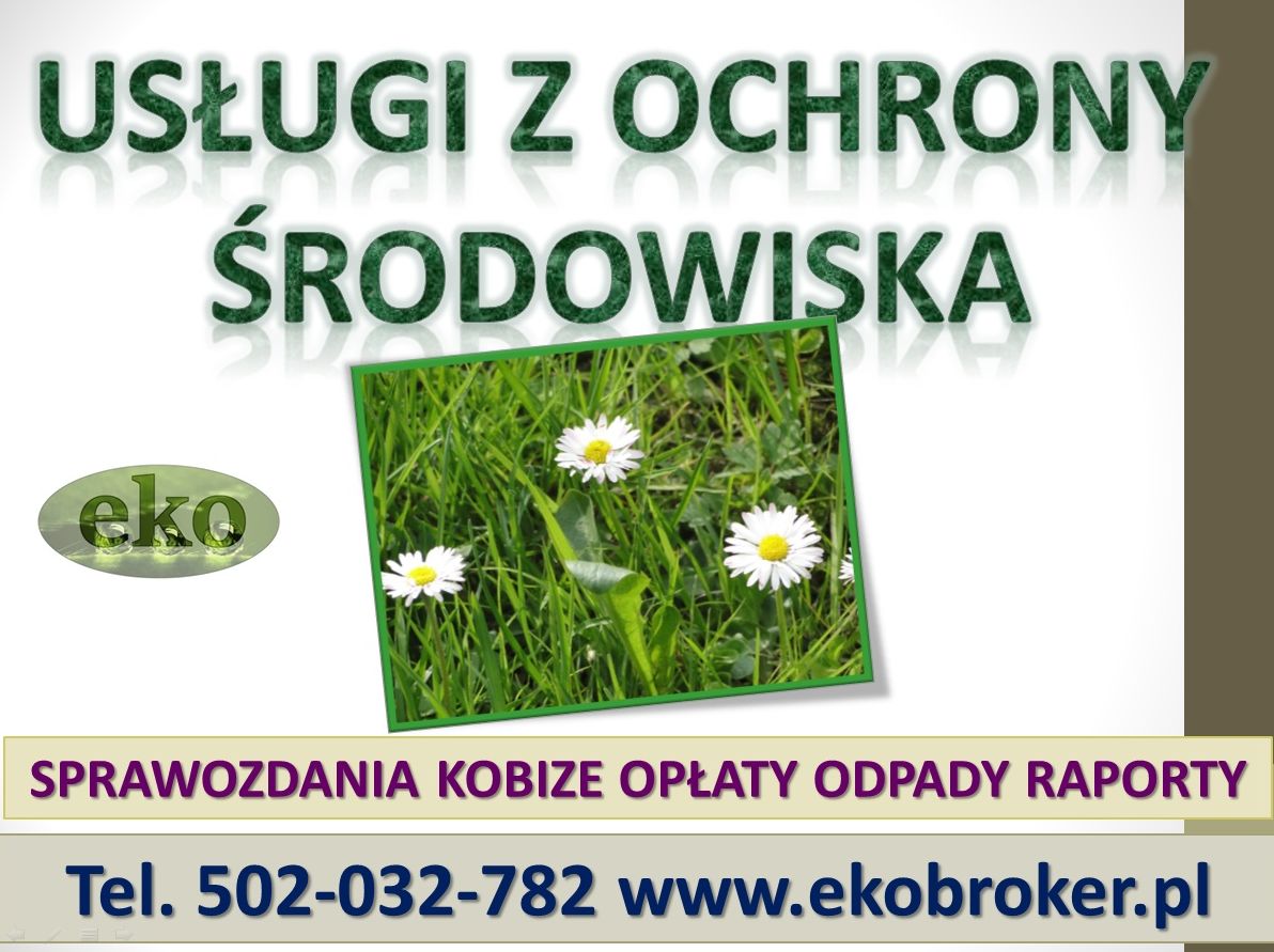 Sprawozdanie z odpadów do BDO, cena, tel. 504-746-203, raport, zestawienie. Obsługa firmy w BDO. Baza Danych o odpadach,