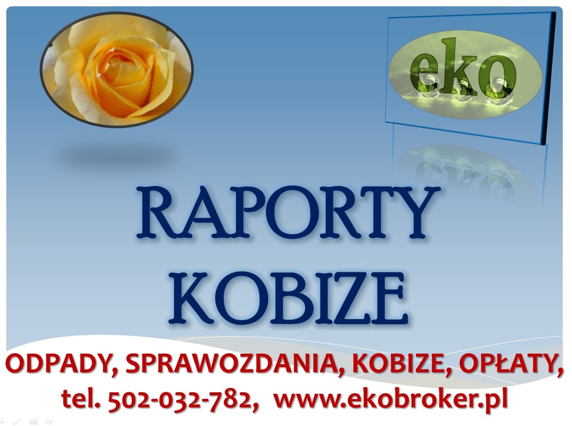 Kobize, opłaty środowiskowe, obsługa firm, cena, tel 502-032-782, raportowanie. Założenie konta w krajowej bazie KOBiZE
