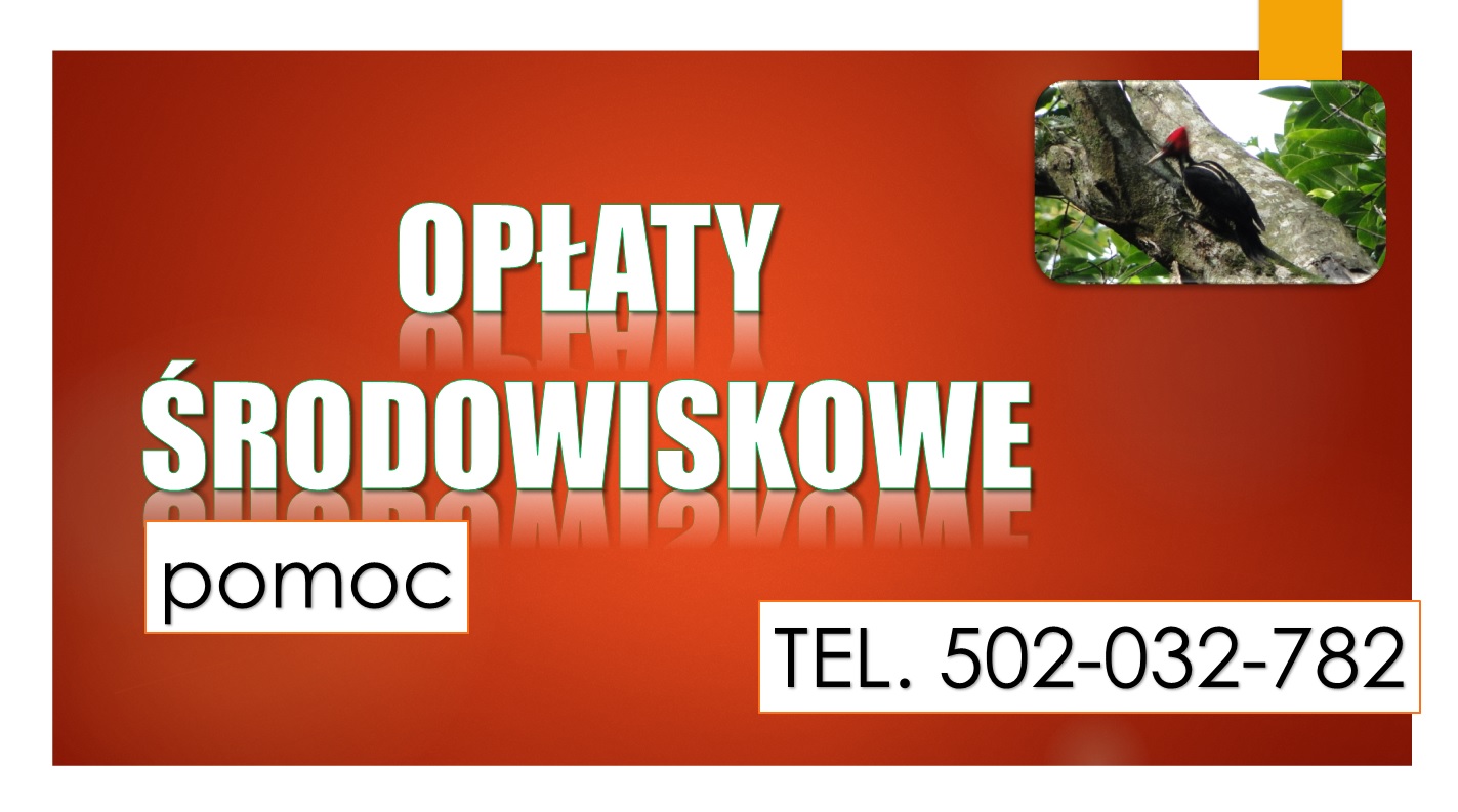 Indywidualna pomoc Szkolenie Opłaty za korzystanie ze środowiska, obliczanie, cennik, terminy