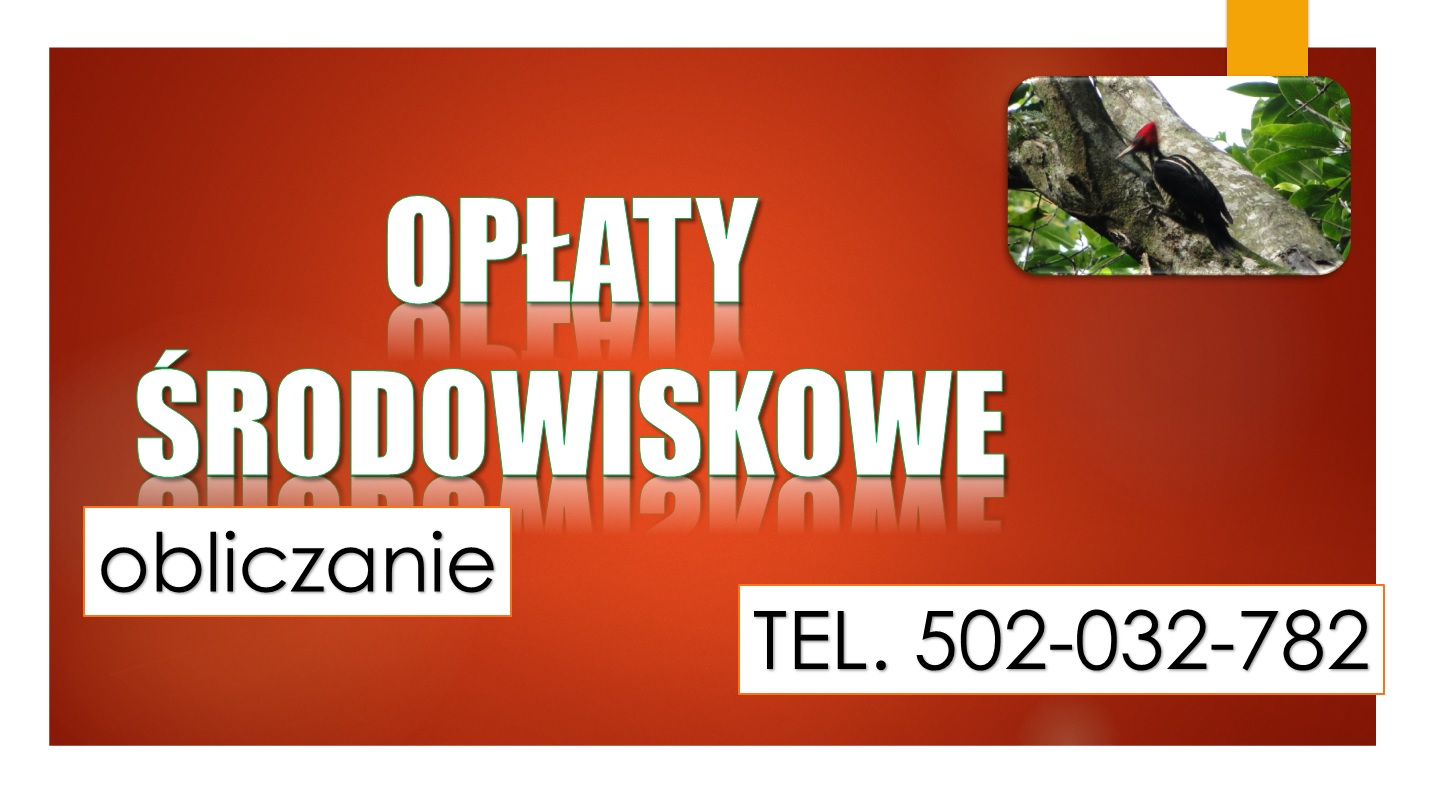 Indywidualna pomoc Szkolenie Opłaty za korzystanie ze środowiska, obliczanie, cennik, terminy
