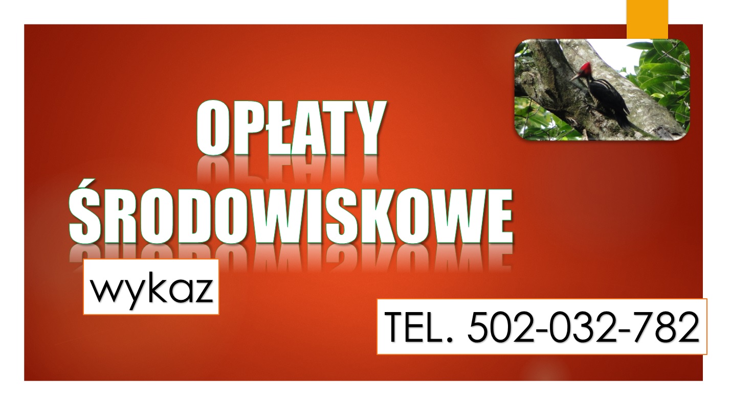 Indywidualna pomoc Szkolenie Opłaty za korzystanie ze środowiska, obliczanie, cennik, terminy