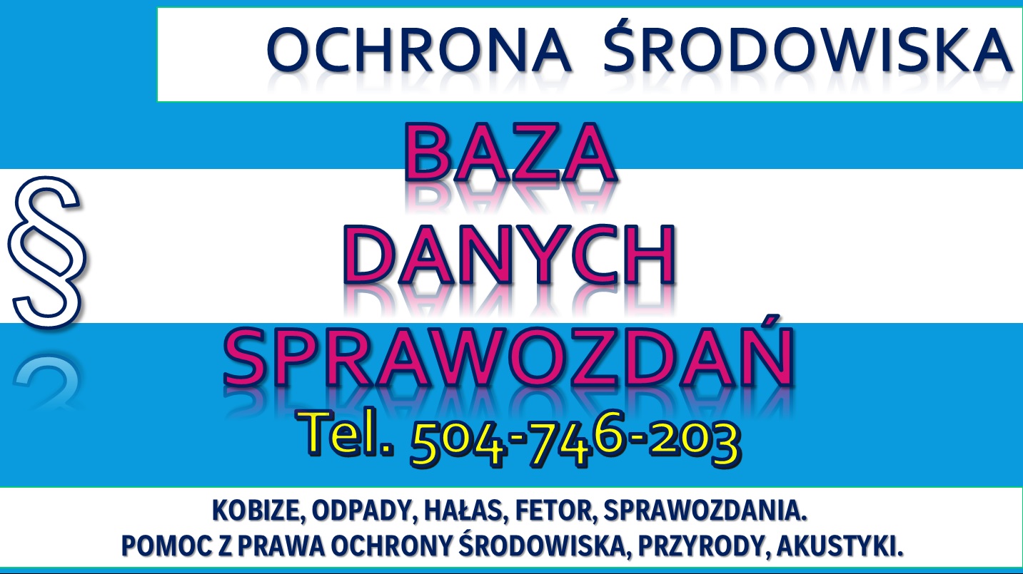 Sprawozdanie do Bazy Danych Sprawozdań, cena tel. 504-746-203. Obsługa firmy.