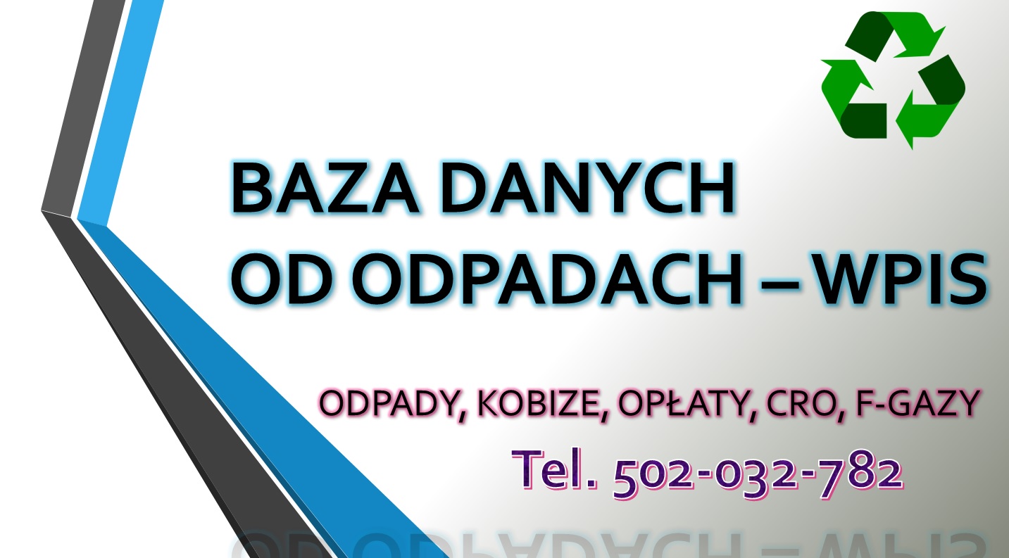 Sprawozdanie do Bazy Danych Sprawozdań, cena tel. 504-746-203. Obsługa firmy.