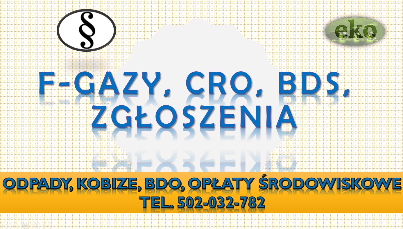Sprawozdanie do Bazy Danych Sprawozdań, cena tel. 504-746-203. Obsługa firmy.